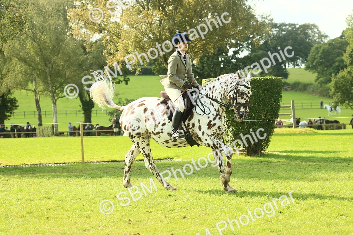 SBM_62407 - S62 - Foreign Breeds Ridden