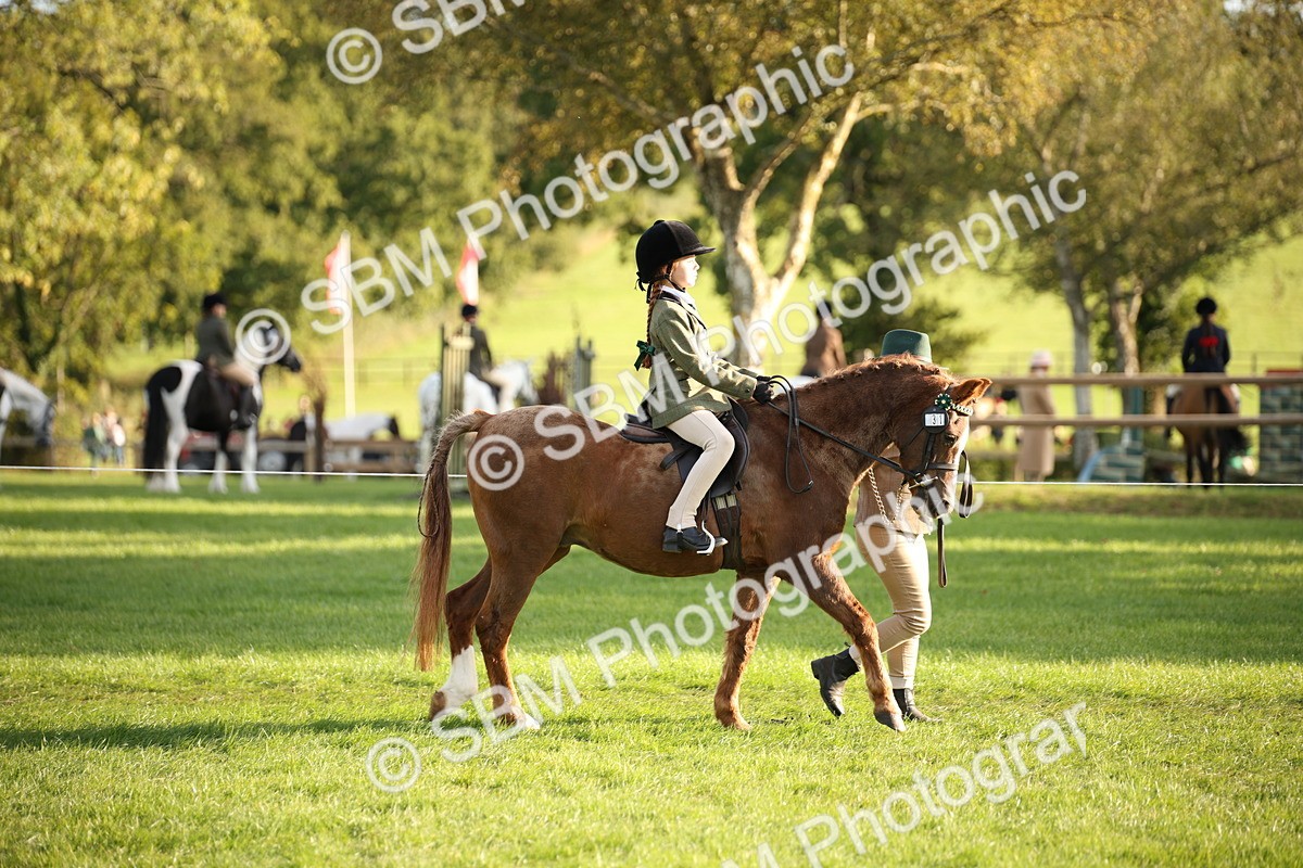 SBM_54372 - S27 - Mature Veteran - Ridden