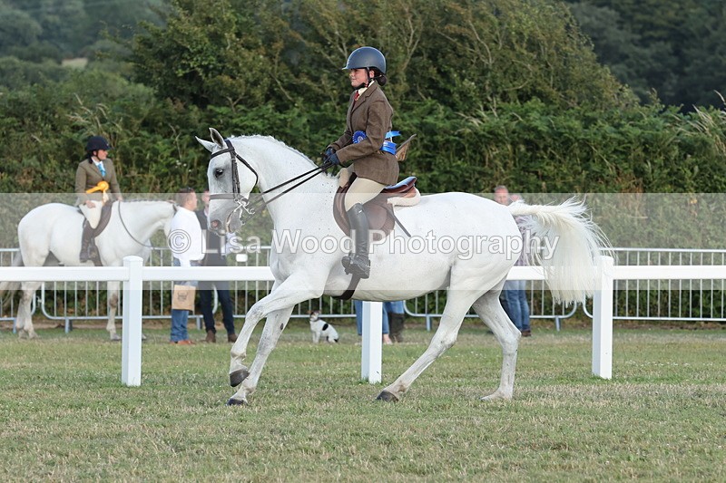 JPP_3724 - Class 24: Open Working Hunter