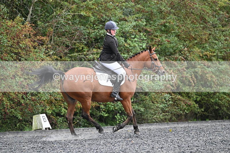 WJ7_3636 - Time 11:04 to 11:38