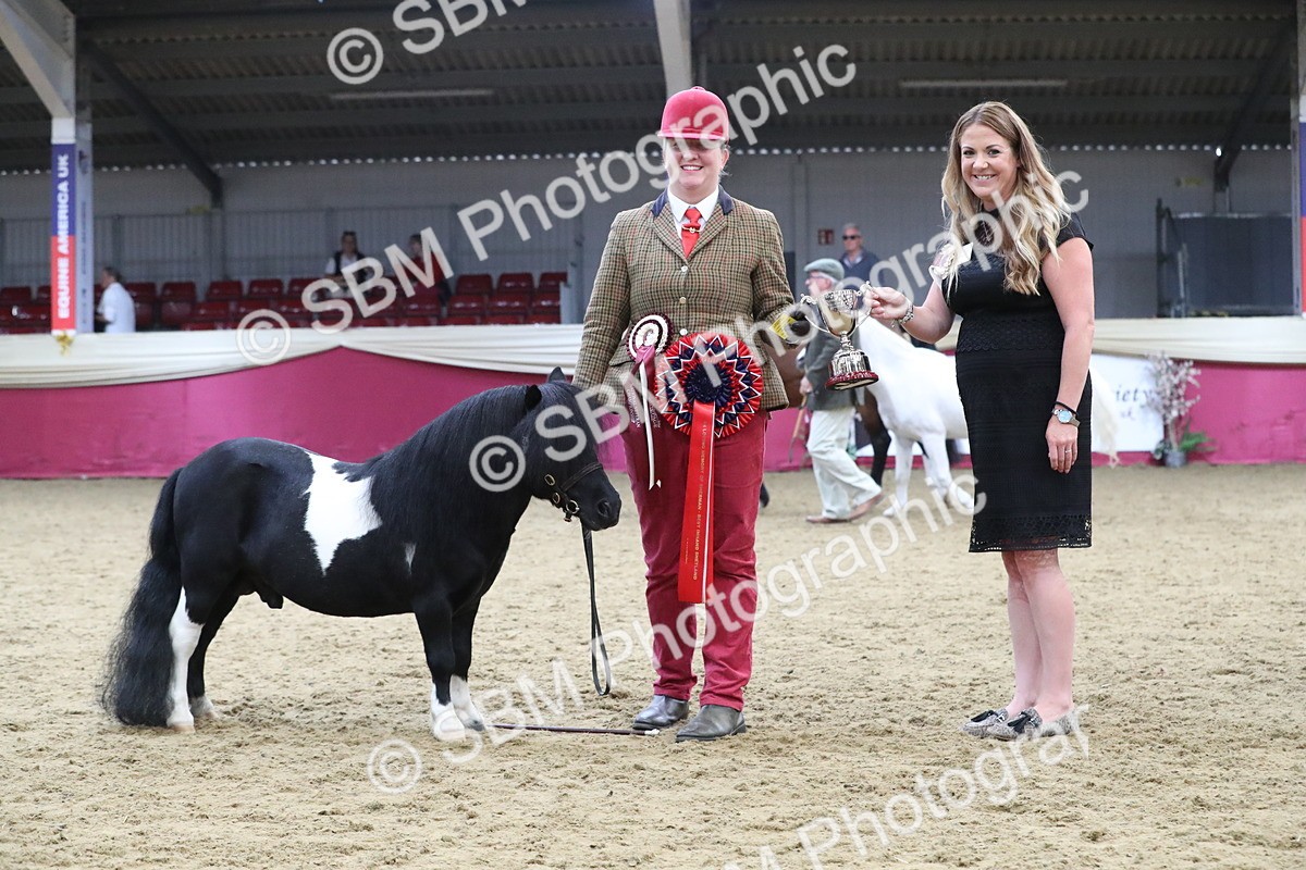 SBM_15427 - Class 501 M&M IH Supreme Final