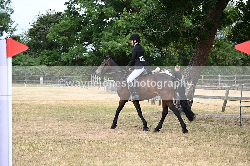 WJ6_3956 - Class 9 Tack & Turnout