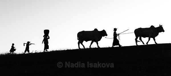  - Black & White