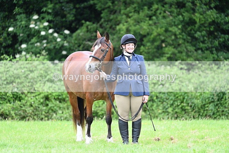 WJ7_4515 - Class 14B Prettiest Mare