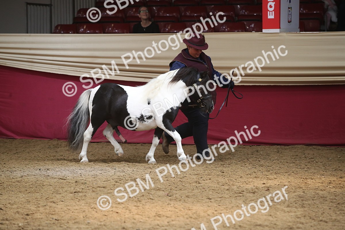 SBM_05599 - Class 9R - Regional IH Pre-Vet
