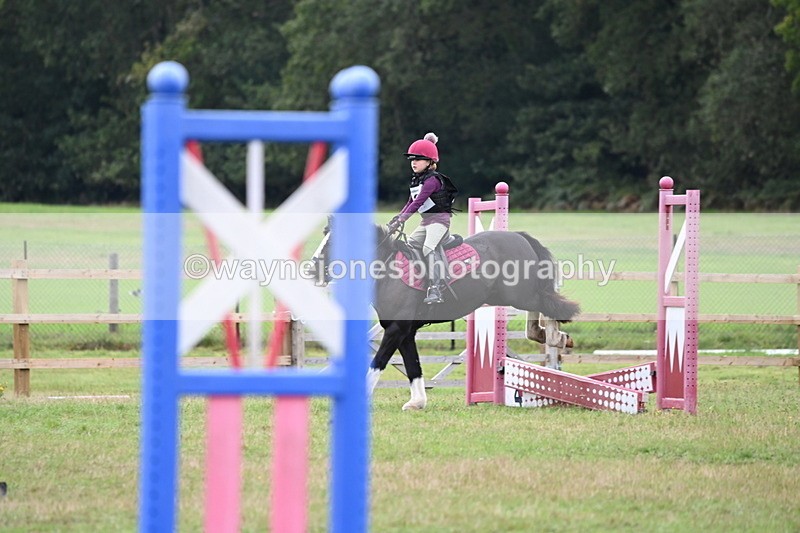 WJ6_0184 - 40cm Time 10:00 to 10:28