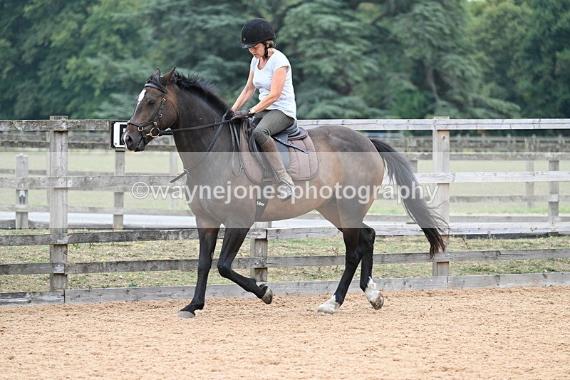 WJ7_9279 - Poles 14:00