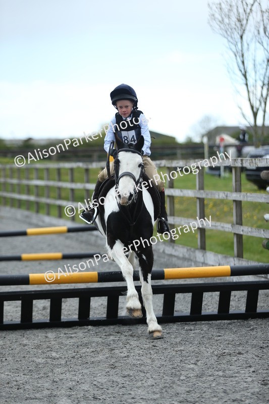 20260412-1839 - Show Jumping