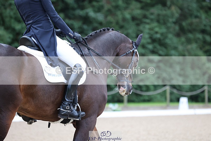 241024-090713-01218 - 202-Toots.Bartlett-C.WHY