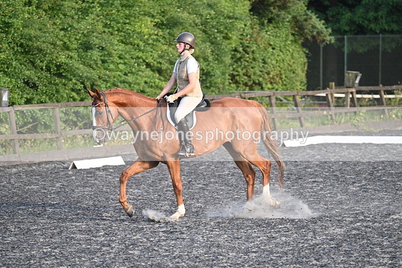 WJ7_0331 - Time 19:38 to 20:00