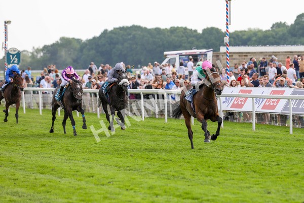 170524-Race 5-Lead Artist-2239 - Race 5 4.15pm  Darley EBF Novice Stakes