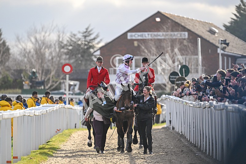 110325-Race 5-Golden Ace-3294 - 11th March