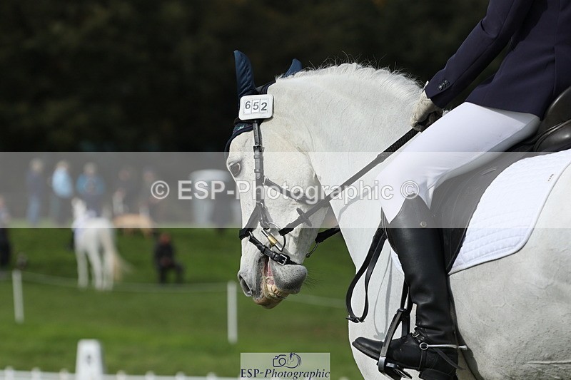 251024A-133607-12611 - H-652-Amelie.Perceval