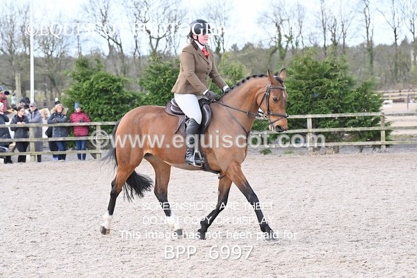 BPP_6997 - RING 1  (RIDDEN HORSES / IN HAND / VETERAN ETC)