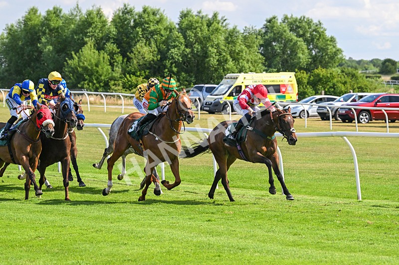 160725-Race 4-Lady Bouquet-9136 - Race 4