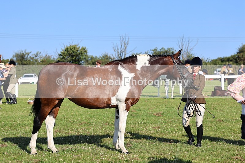 IMG_1318 - Class 27: Ridden Plaited Coloured Horse