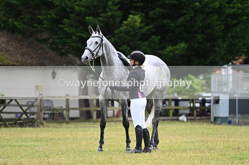 WJ7_6191 - Class 4a Prettiest Mare over 14hh