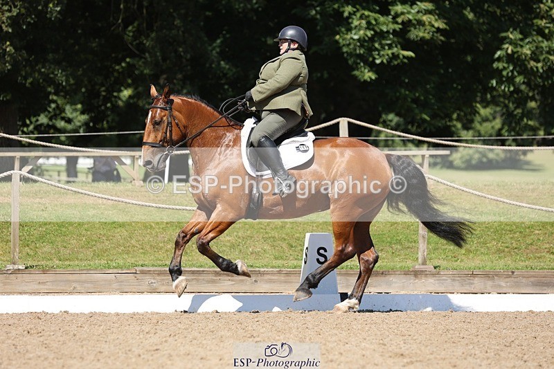 240719-105429-00818 - 169-Marion_Eaves-Indigo_Queen_of_Hearts