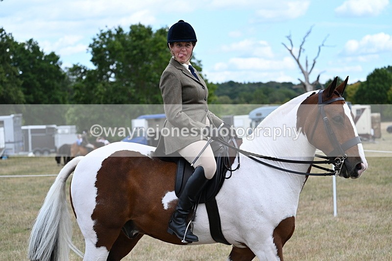 WJ7_5430 - Class 12 Ridden Cob
