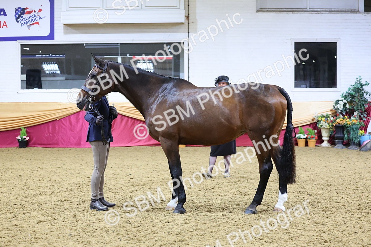 SBM_19685 - Class 901 - Supreme Final - IH Diamond