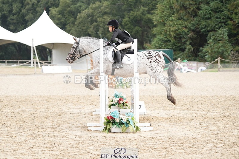 250824A-120012-35780 - 2030-Robert.Melia-Phoenix