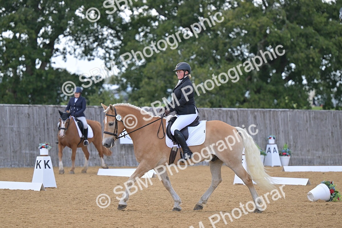 SBM_11149 - D3 - Small Tour Championship Intro 3