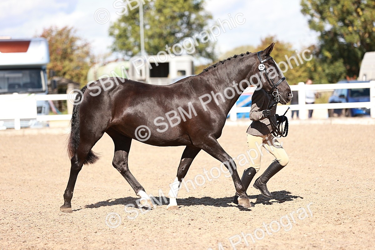 SBM_13305 - class 406 - IH Hunter