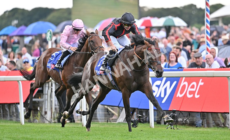 190826-080 Maltese Cross - Race 3 15.00pm Sky Bet Great Voltigeur Stakes