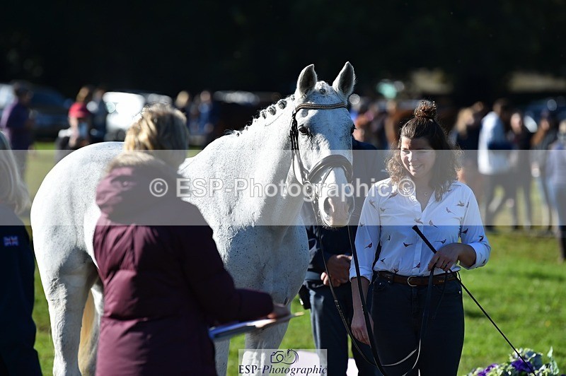 231022-110700-23733 - 437-DONBEG.GREY-Hannah.Underhill-TrotUp+SJ