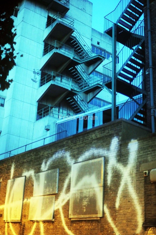 EL 6 - Frank Doran