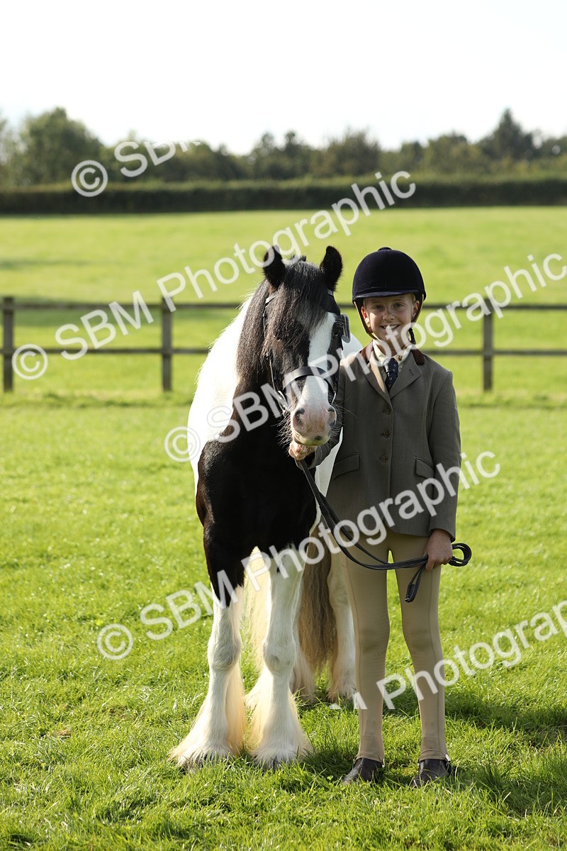 SBM_60969 - S43 - Coloured Pony In Hand