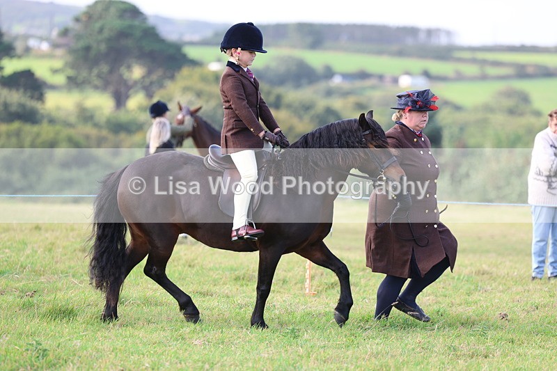 3E7A3400 - Class 2: Lead rein