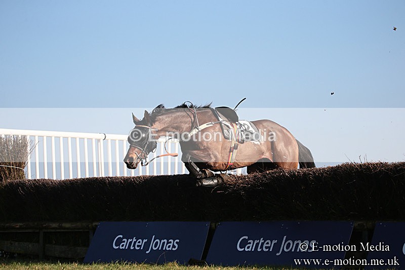 PtP 230219 453 - Vine & Craven Point-To-Point - Barbury 23/02/19
