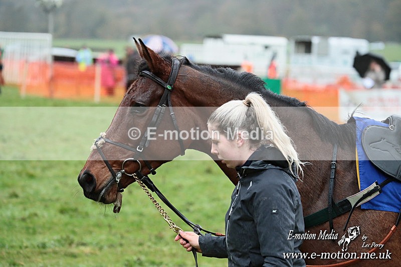 PtP 091125  0016 - Point-to-Point Wales Area Club Lower Machen, Gwent 09/11/25