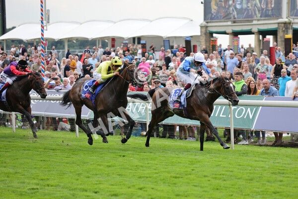 yr20082021r1-16 - Race 1 1.50pm Sky Bet Stakes