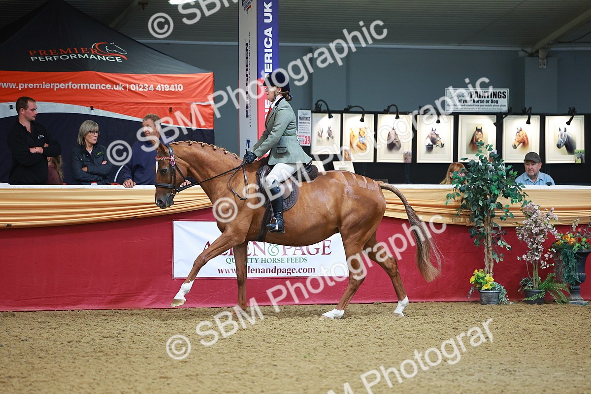 SBM_09744 - Class 102 - HOYS Veteran Qualifier - Ridden Veteran
