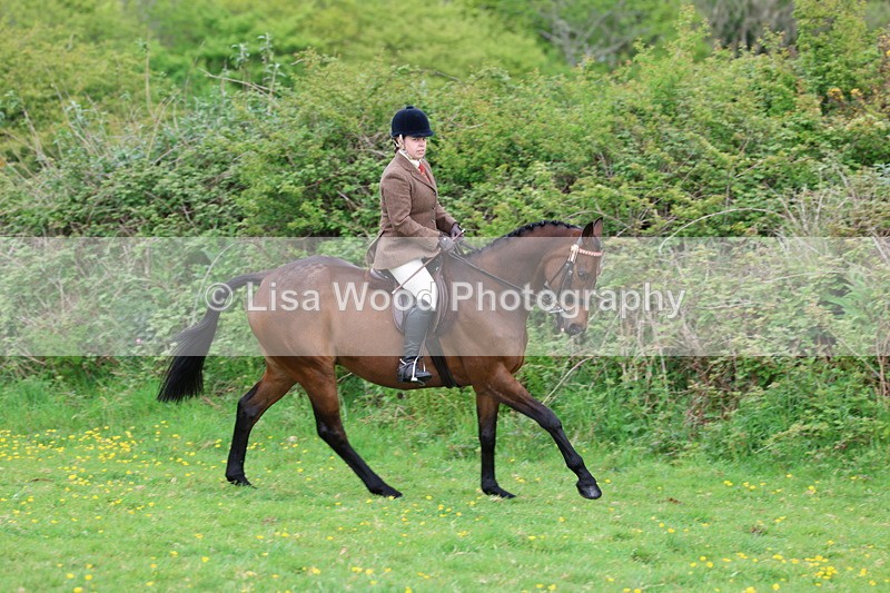 3E7A1446 - Class 8: Ridden Veteran Junoir and Senior