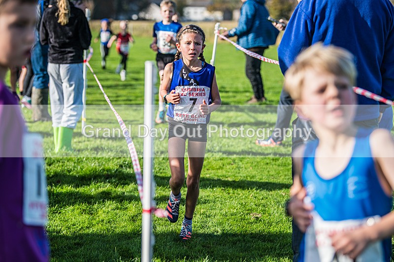 Cumbria XC-28 - Cumbria XC League Workington Saturday 26th October 2024