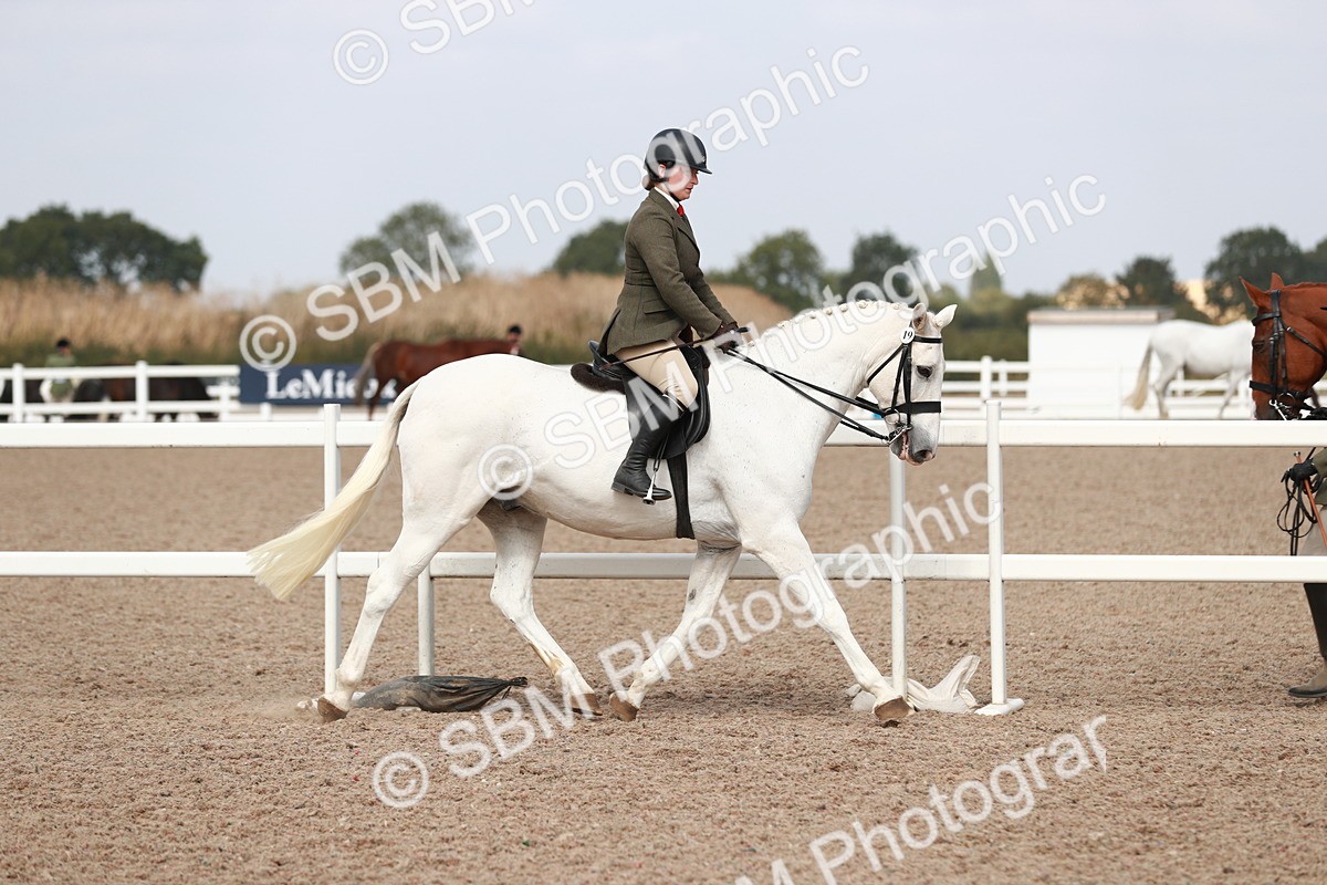 SBM_14811 - Class 212 Ridden Hunter - Small