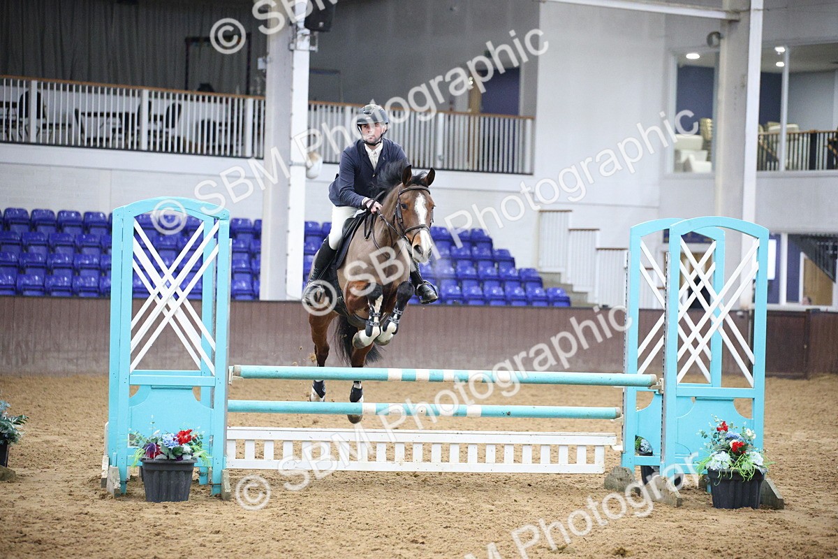 5K7A3831 - Class 2 - Nupafeed Supplements Senior Discovery/ 1m Open