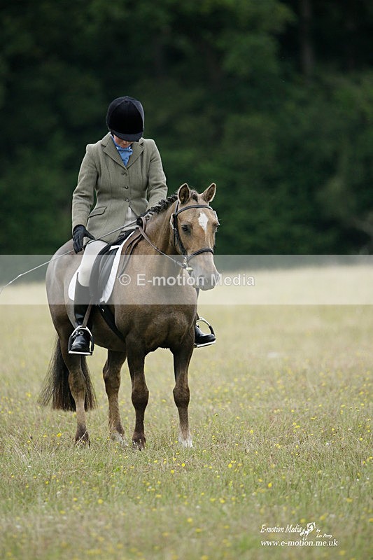 BVRC 030721 358 - Bourne Valley Riding Club Dressage 03/07/21