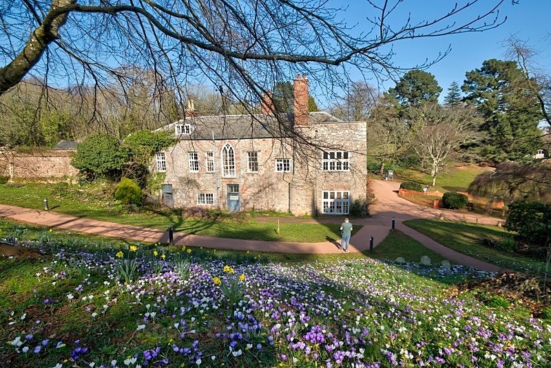 Spring at Cockington Court - Cockington