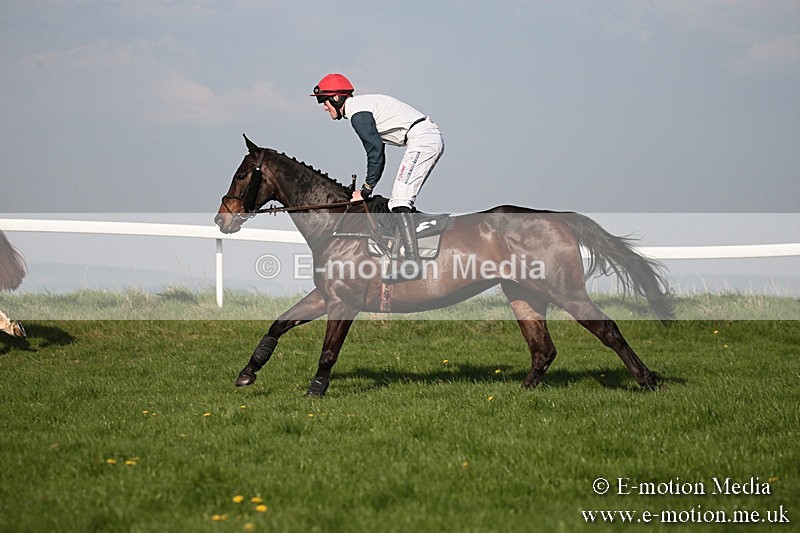 PtP 210418 572 - South & West Wilts Point-to-Point Larkhill 21/04/18