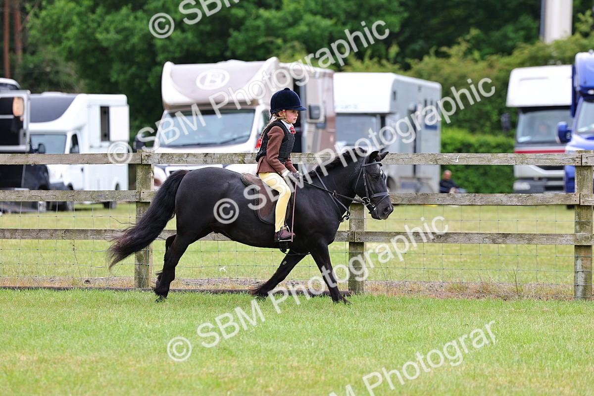 SBM_09695 - Class 44-45 - LIHS BSPS Open Nursery and Cradle Stakes