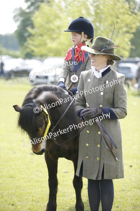 20260426-1896 - Class 7 - Pony Judge Would Most Like To Take Home