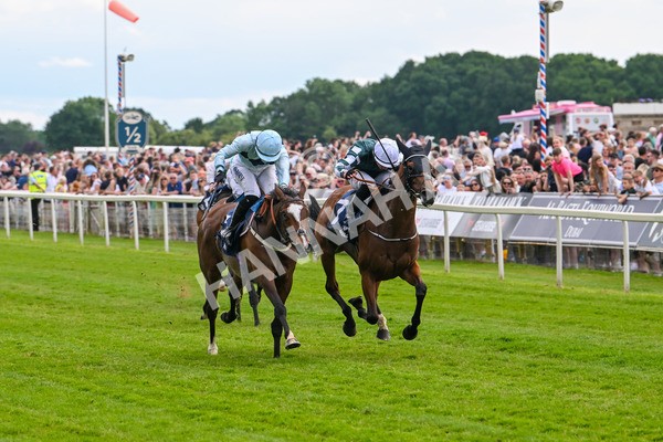 310525-Race 4-Scenic-9614 - Race 4 3.15pm William Hill Bronte Cup Fillies' Stakes