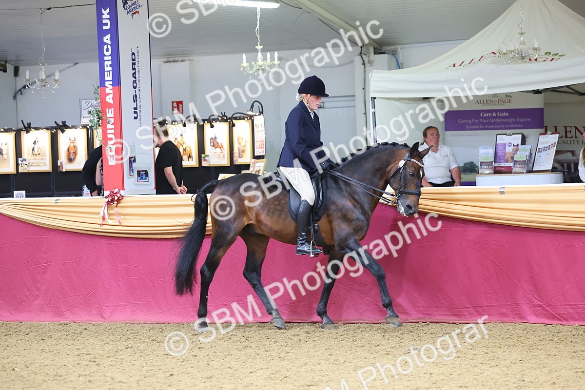 SBM_23648 - Class 904 - Supreme Final Ridden Diamond