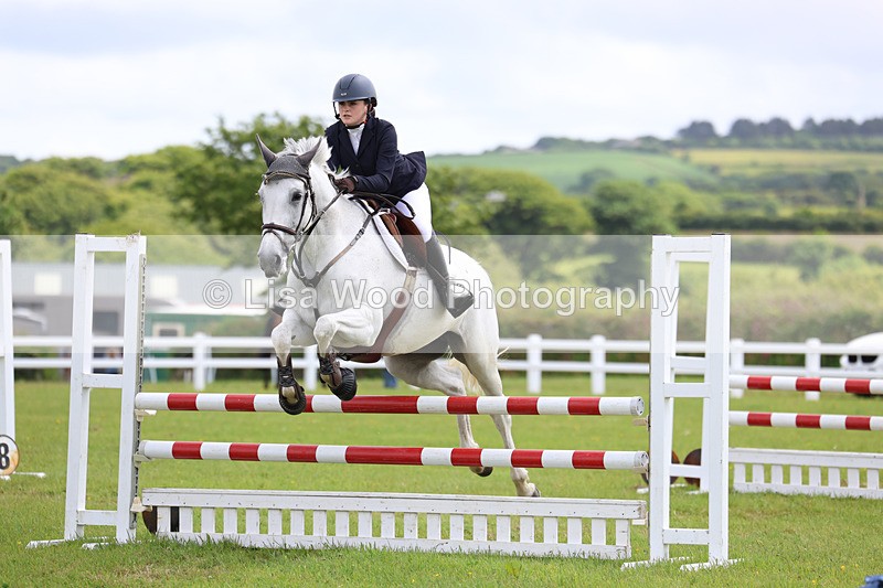 3E7A7369 - Class 13: Senior British Novice/90cm open