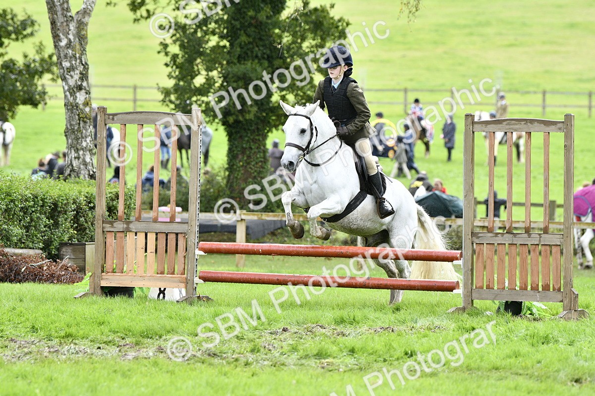 SBM_45585 - S33 - Working Hunter Pony