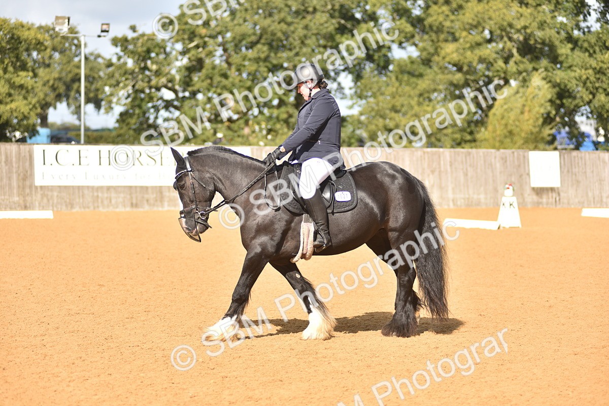 SBM_03024 - D4 - Small Tour Championship Intro 4